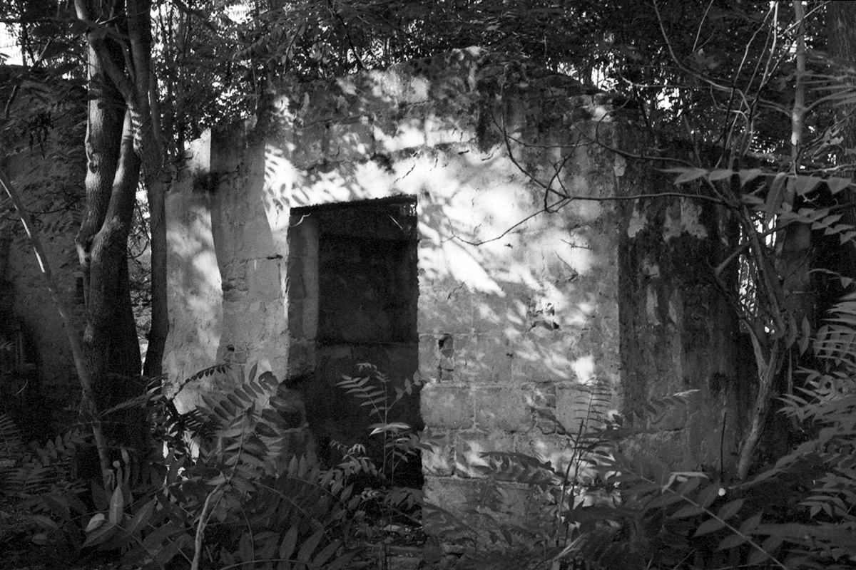 Abandoned hut